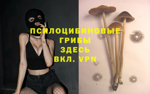 PSILOCYBIN Абинск