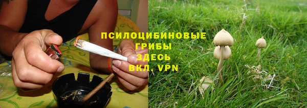 PSILOCYBIN Алагир
