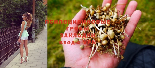 PSILOCYBIN Абинск
