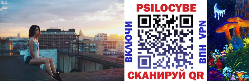 Псилоцибиновые грибы Psilocybine cubensis  Сычёвка 